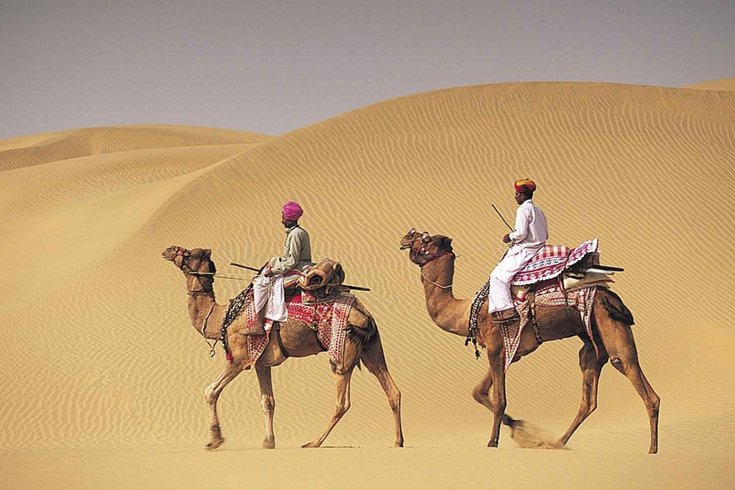 Мой караван без всякого. Раджастан пустыня. Верблюды Караван. Верблюд в пустыне. Человек на верблюде.