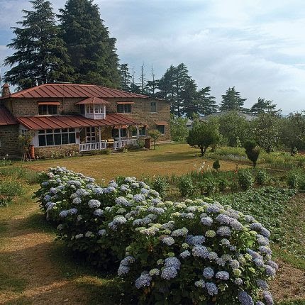 Abbott Mount Cottage, Lohaghat