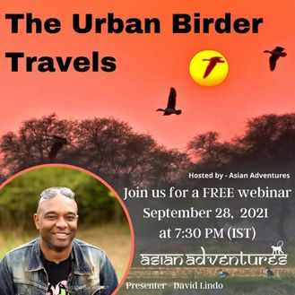 The Urban Birder Travels