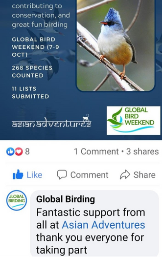 global-birding