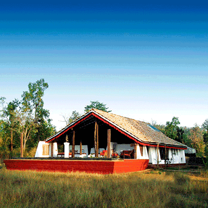 Monsoon Forest Bandhavgarh