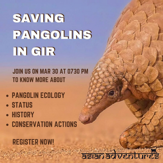 Pangolins