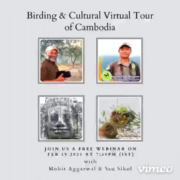 Birding & Cultural Virtual Tour of Cambodia