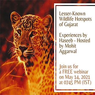 lesser_know_wildlife_hotspot