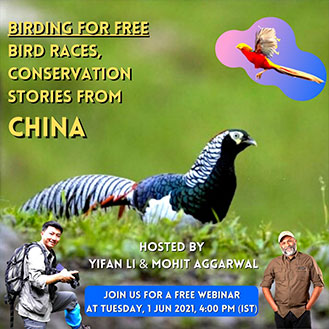 Bird Races, Conservation Stories From China